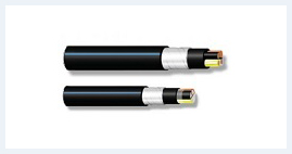 Cabluri pentru bransamente